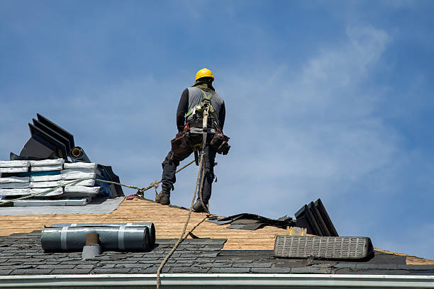 Professional Roofing technician working in Cordova, IL
